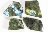 Lot: Lbs Free-Standing Polished Labradorite - Pieces #78029-1